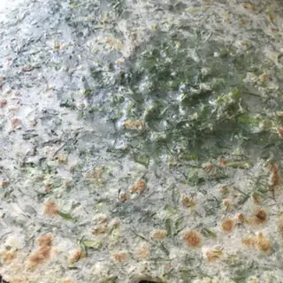 Make Pancakes step 6