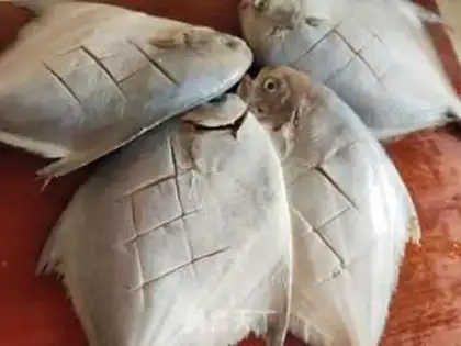Make Red-burned flatfish step 1
