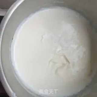 Make Homemade yogurt step 6