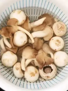 Make Mushroom chicken soup step 1