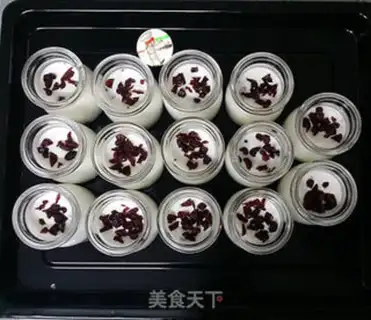 Make Homemade cranberry yogurt step 10