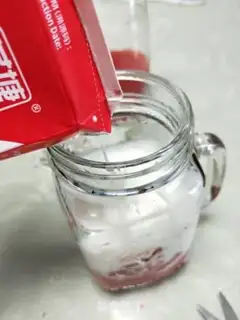 Make Watermelon freezes on milk step 12
