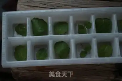 Make Ice mint step 0
