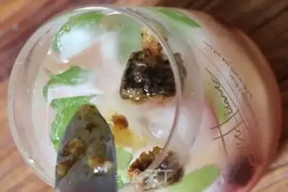 Make Ice mint step 9