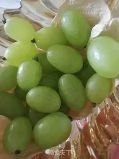 Make Simple yogurt dessert step 1