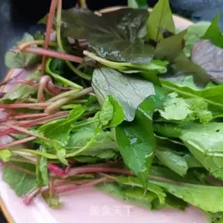 Make The radish seed step 0