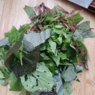 Make The radish seed step 1