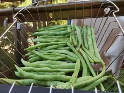 Make The green peppers and the beans step 1