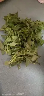 Make A cucumber step 2