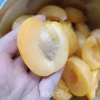 Make Apricot step 3