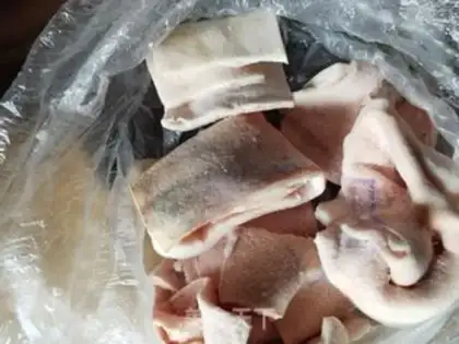 Make Frozen step 0