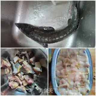 Make Skin-taped dragonfish step 0