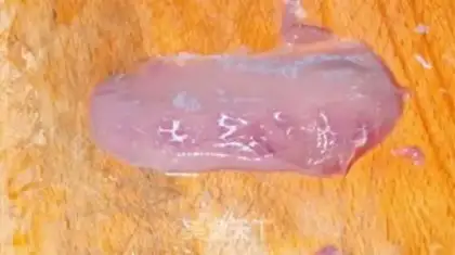 Make Frozen step 2