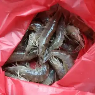 Make Toast shrimp salad step 0
