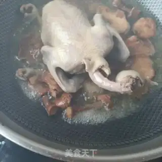Make The mushrooms and pigeons step 5