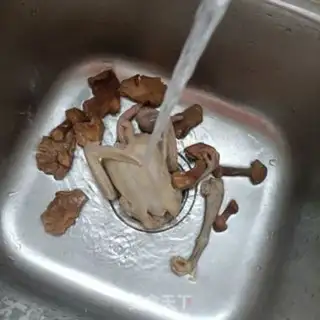 Make The mushrooms and pigeons step 6