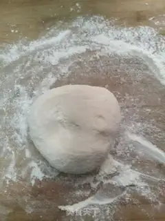 Make Pork dumplings step 4