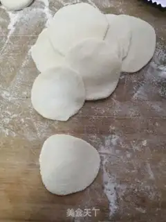 Make Pork dumplings step 7