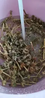 Make The weeds are used as blood and soup step 2