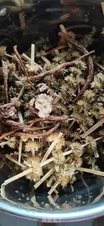 Make The weeds are used as blood and soup step 5