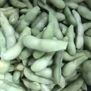Make Five saline beans step 3