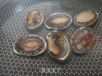 Make Abalone step 2