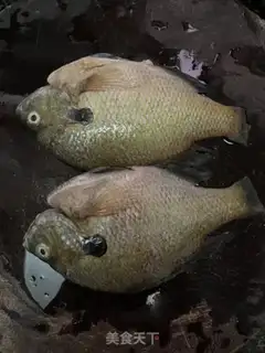 Make Soybeans and sunfish step 0