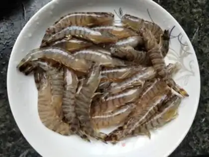 Make Nine knots of shrimp step 0