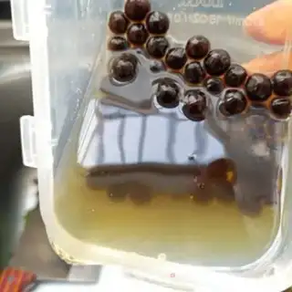 Make Flaming Dragon Jell-O, little circle bumping on milk step 14