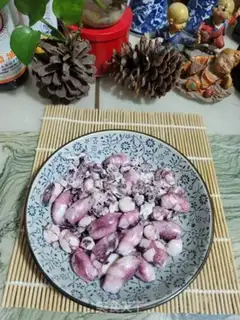 Make Squidfish step 4