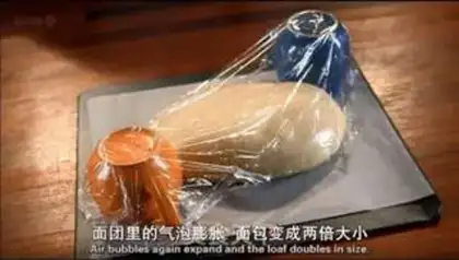 Make Bloom bread step 8