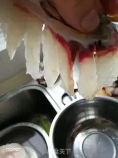 Make Sugar-eat-breed step 3