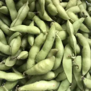 Make Five saline beans step 0