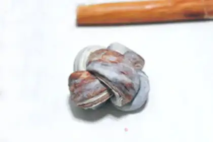 Make step 21