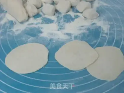Make Pork dumplings step 6
