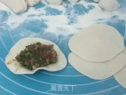 Make Pork dumplings step 7