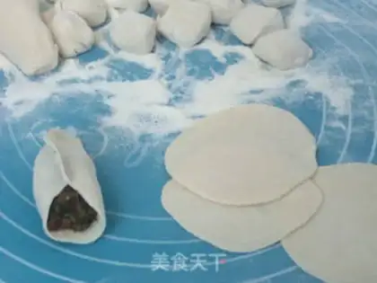 Make Pork dumplings step 8