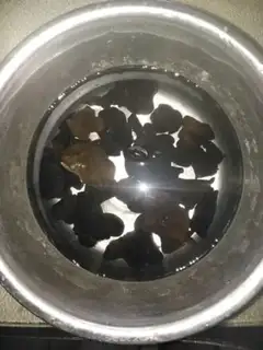 Make Cabbage and tofu step 1