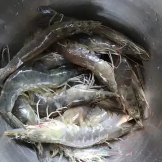 Make Shrimp chicken wings pan step 1