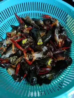 Make Spicy lobster step 0