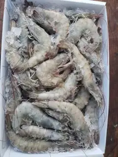 Make Steam shrimp step 0