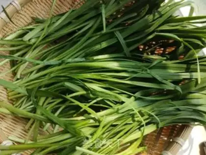 Make An egg box of celery step 1