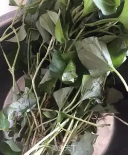 Make Fish and grass, skinny soup step 1