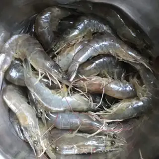 Make Jealousy and shrimp step 1