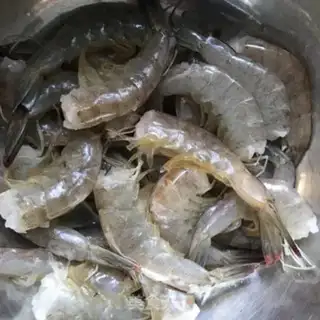 Make Jealousy and shrimp step 2