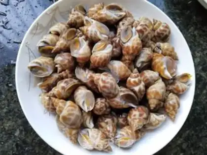 Make White snail step 0