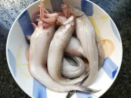 Make A red-burned dragonfish step 0