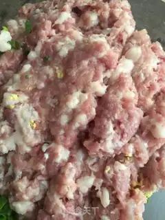 Make A dumpling step 0