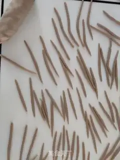 Make It