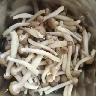 Make Crab mushrooms and tofu step 3